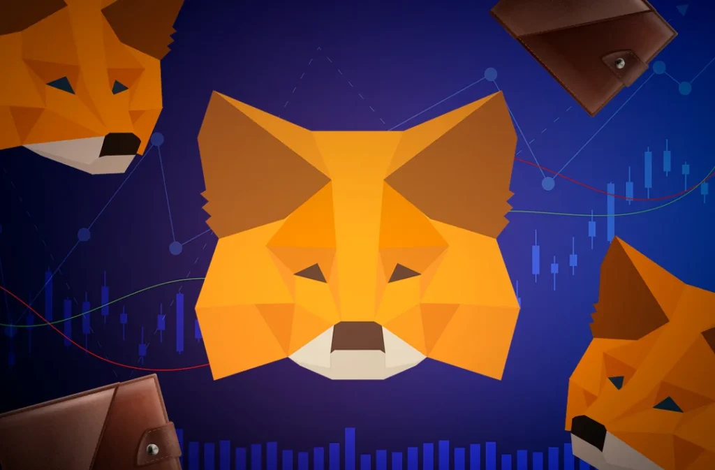 Унікальний огляд MetaMask: функціональні можливості та безпека (Фото: google)