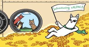 Alpaca Finance припиняє роботу